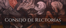 Portal del Consejo de Rectorías